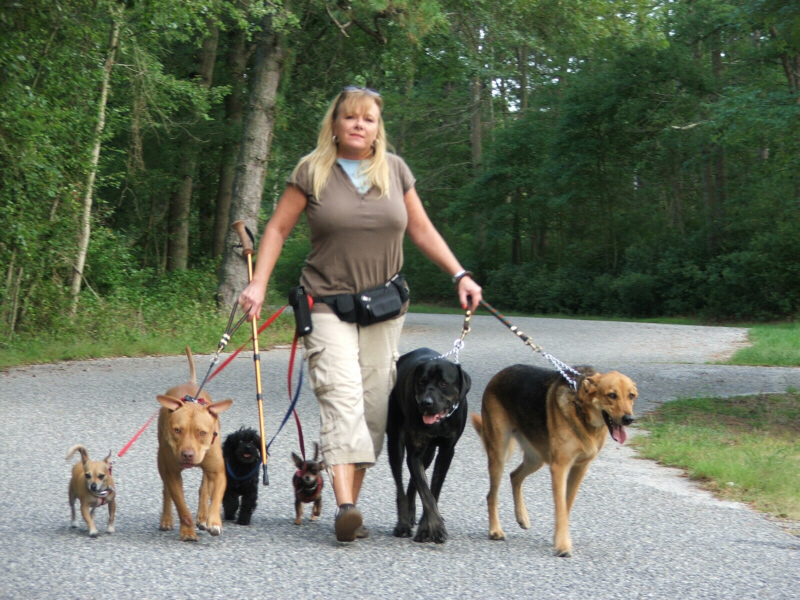 Loving Touch Pet Sitting and Dog Walking Service